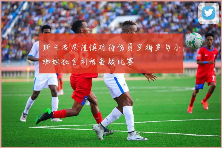 斯卡洛尼谨慎对待伤员罗梅罗与小蜘蛛独自训练备战比赛