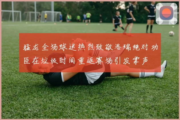 猛龙全场球迷热烈致敬洛瑞绝对功臣在垃圾时间重返赛场引发掌声